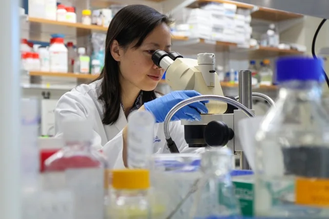 Pesquisa traz esperança sobre tratamento contra glaucoma