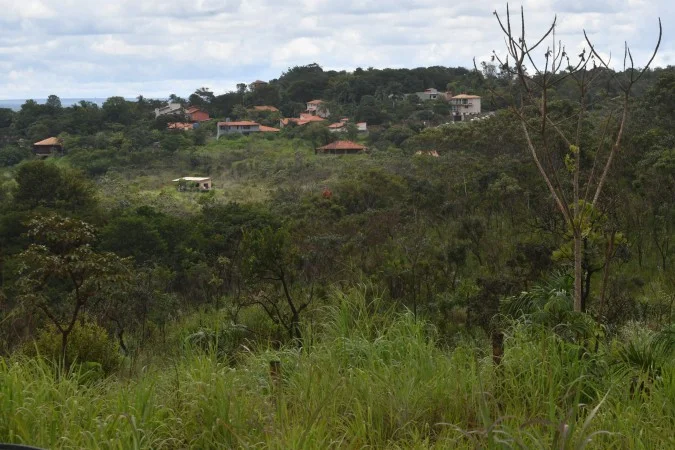 Expansão urbana desordenada faz com que temperaturas aumentem no DF