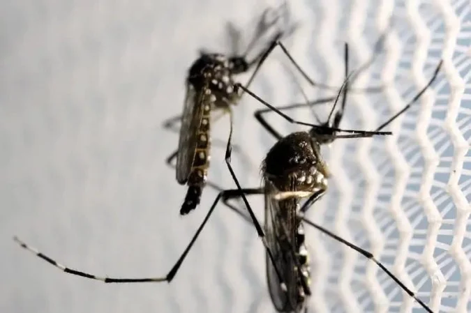 Médicos alertam para risco maior de dengue com retorno do El Niño