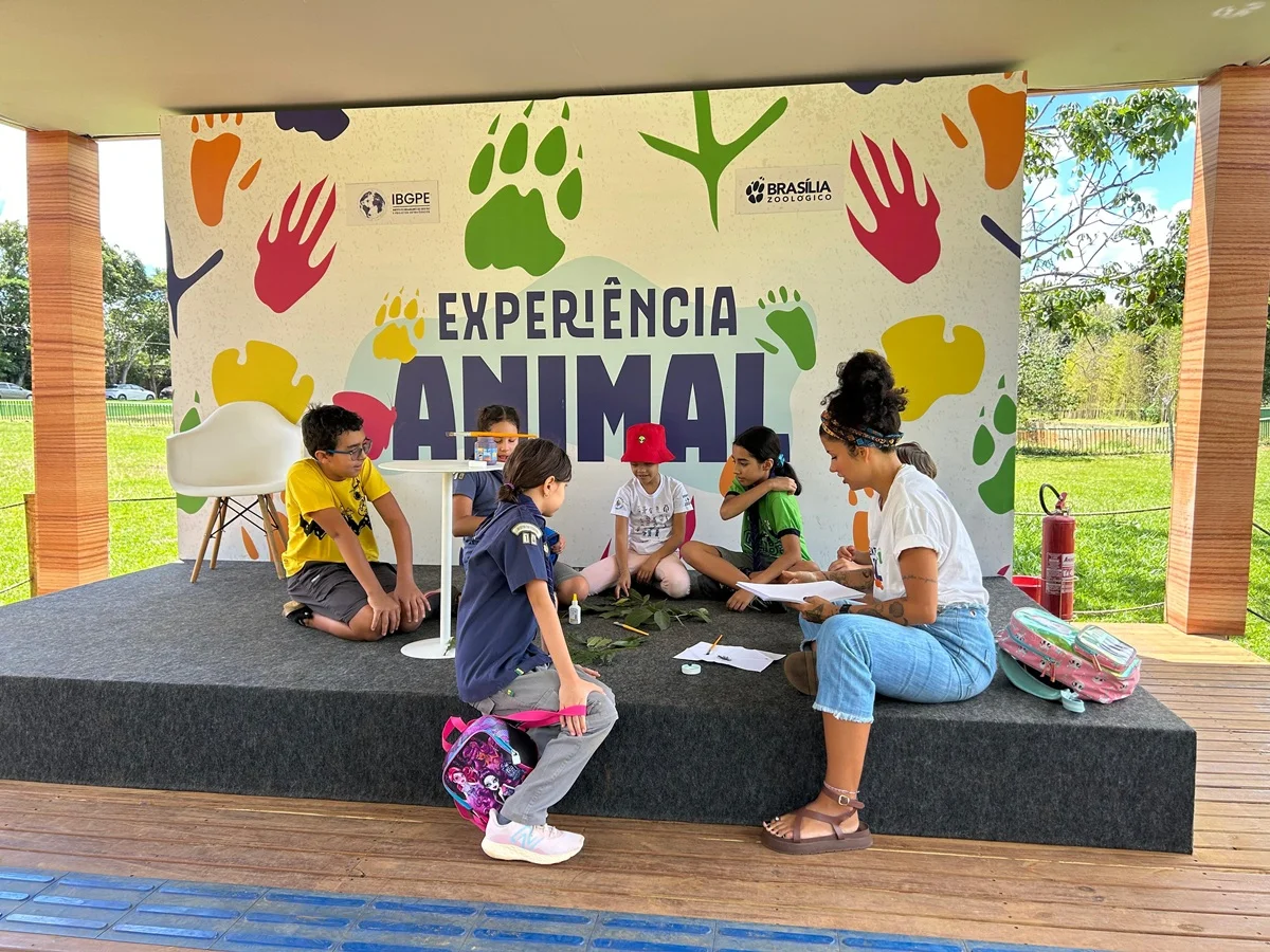 Post sem título 142288