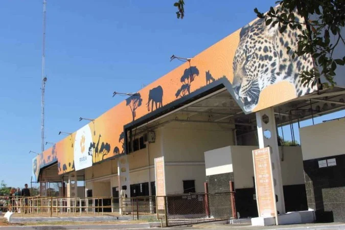 Saúde lidera prioridades dos eleitores para o próximo governo do DF
