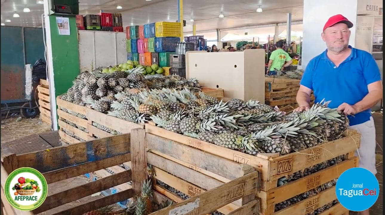 Feira do Produtor de Ceilândia se destaca pela diversidade de produtos, qualidade e oferta de alimentos fresquinhos para a população